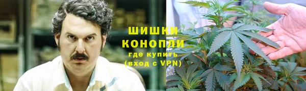apvp Богородск