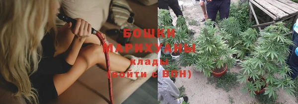 apvp Богородск